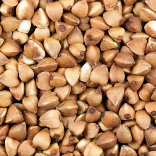 Buckwheat